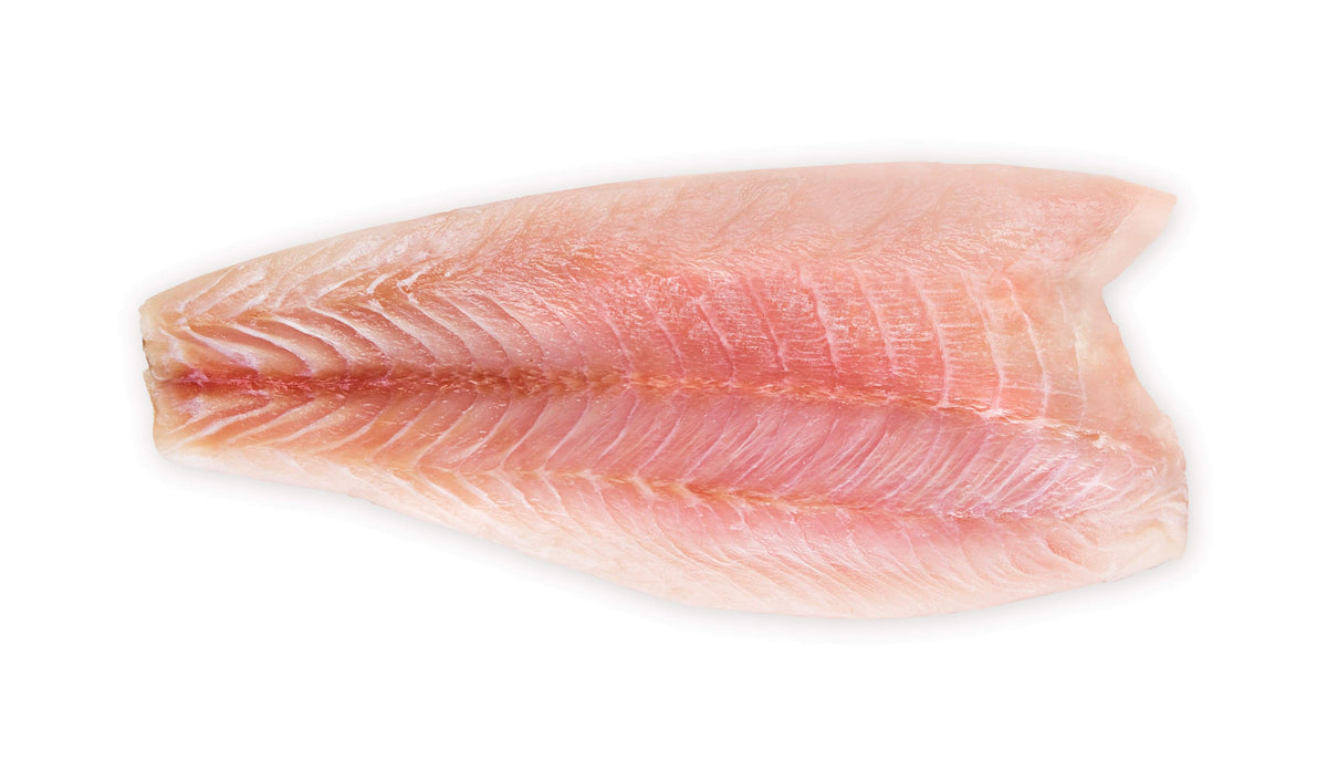FRESH SEA BASS FILLET SKINLESS GoodZay