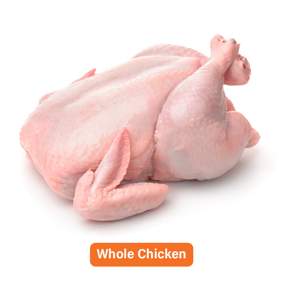 Whole Chicken Carcass (Without Head, Neck & Feet) - 1.4 ~ 1.6Kg