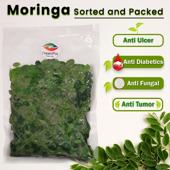 Moringa Leaf - 250g (Sorted)