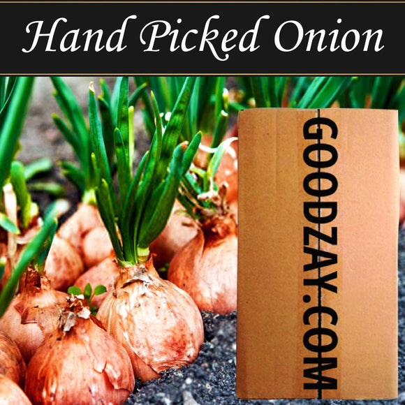 Onion - Hand Picked Onion