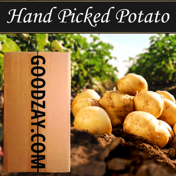Potato - Hand Picked Potato