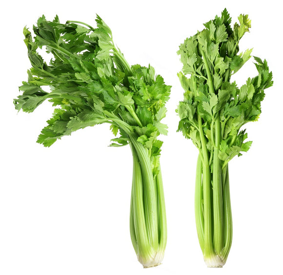 Celery - GoodZay